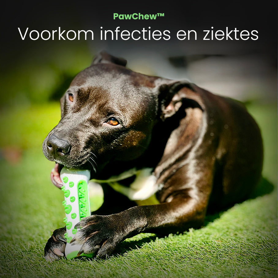 PawChew® - Voor een stralend gebit